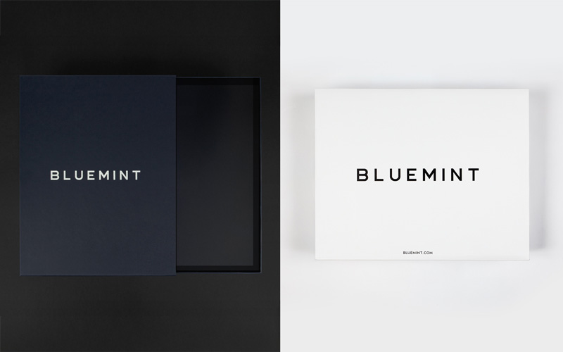 Bluemint Gift Package