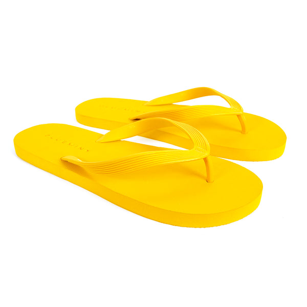 Bluemint phil terli̇k