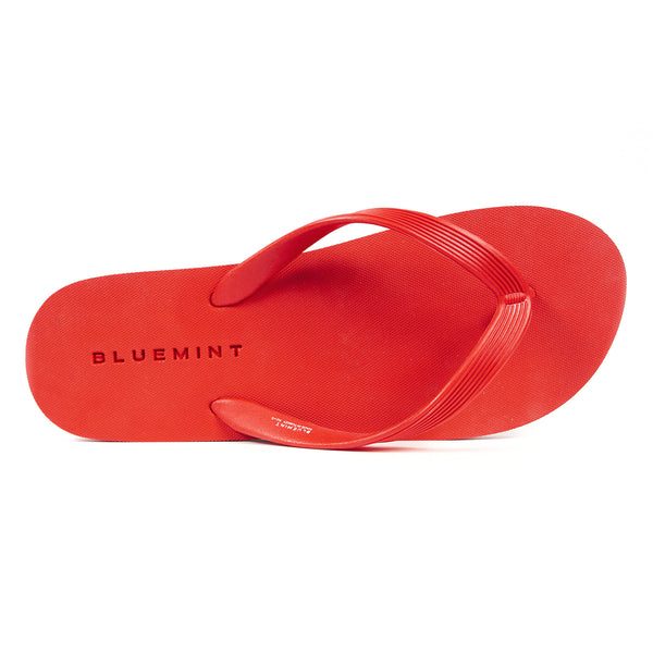 Bluemint phil terli̇k