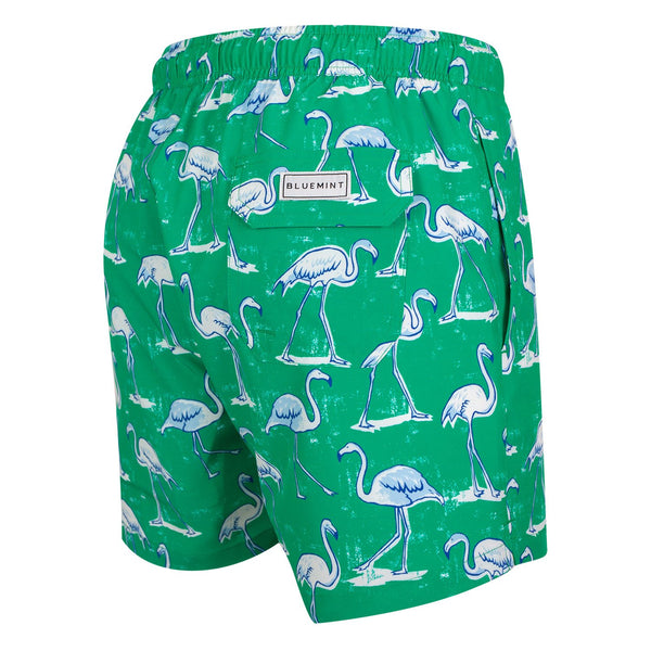 Bluemint arthus stretch swim shorts