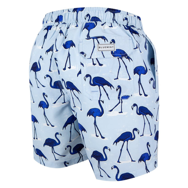 Bluemint arthus swim shorts