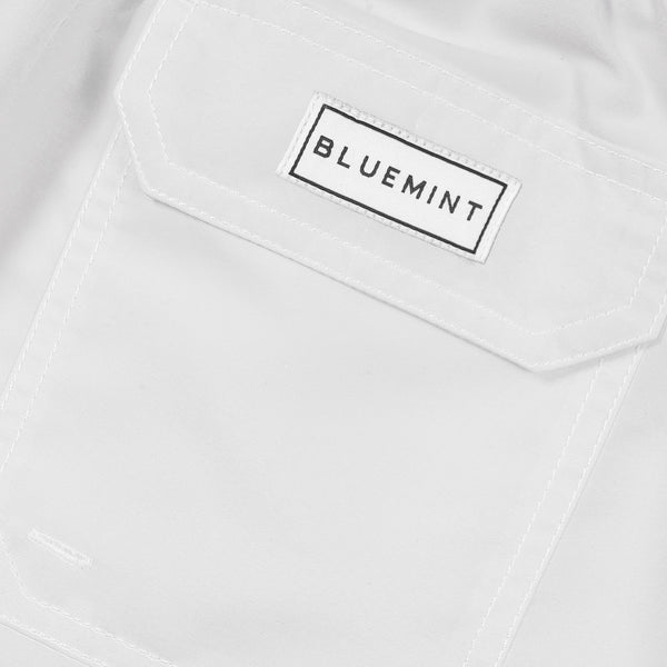 Bluemint oscar swim shorts