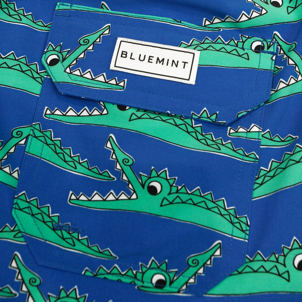 Bluemint arthus stretch swim shorts