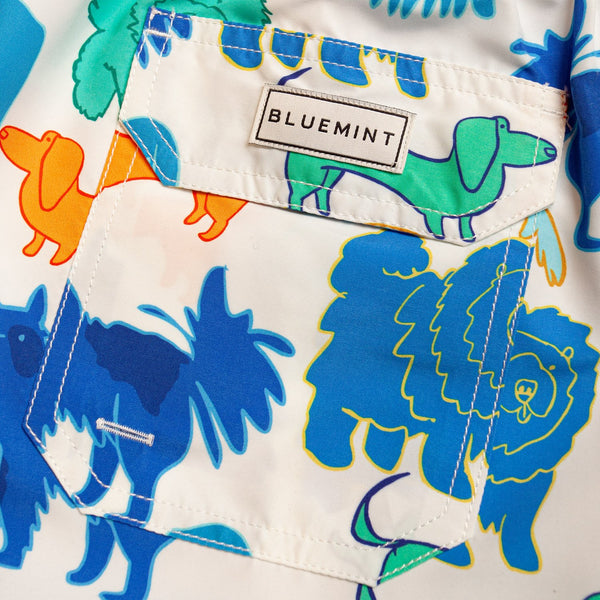 Bluemint arthus swim shorts