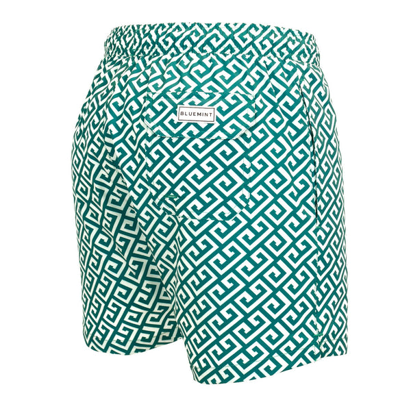 Bluemint arthus stretch swim shorts
