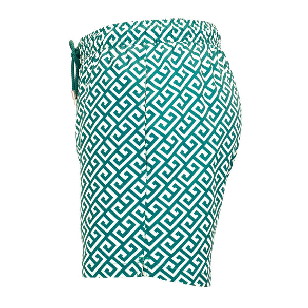 Bluemint arthus stretch swim shorts