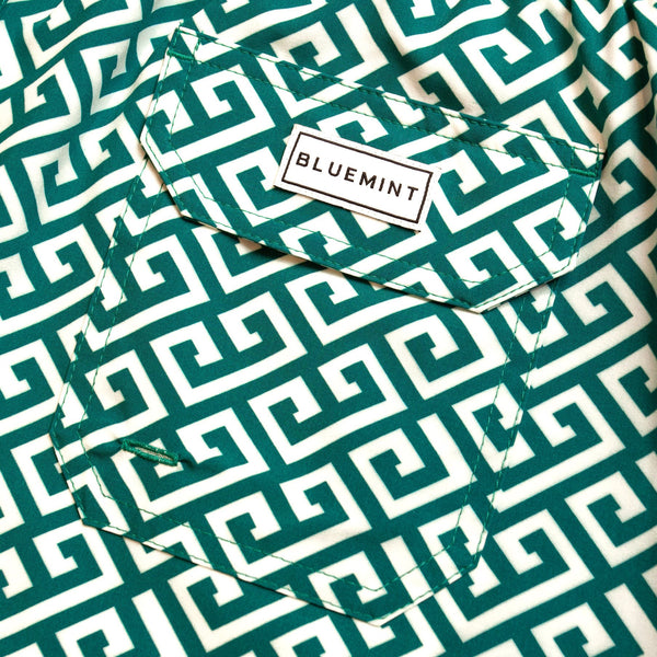 Bluemint arthus stretch swim shorts