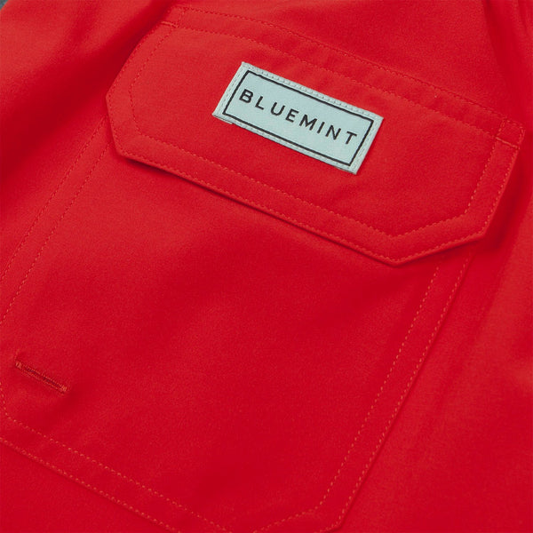 Bluemint arthus stretch solid swim shorts