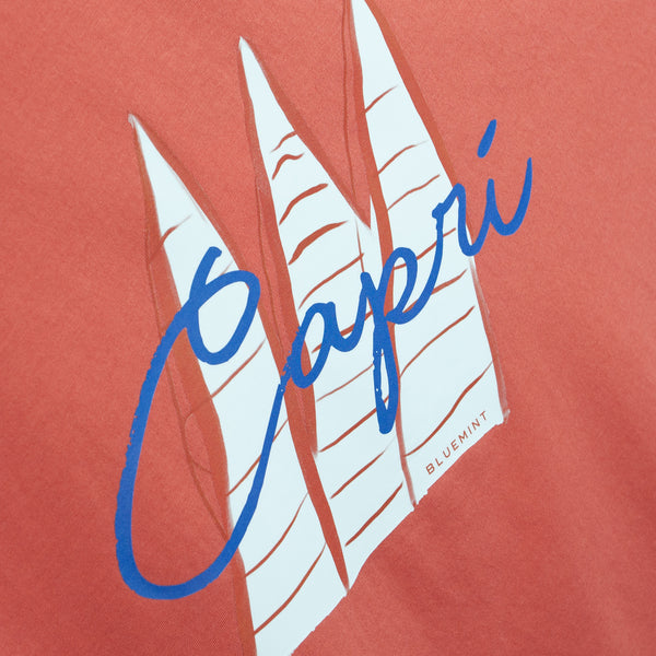 Bluemint ricci printed t-shirt