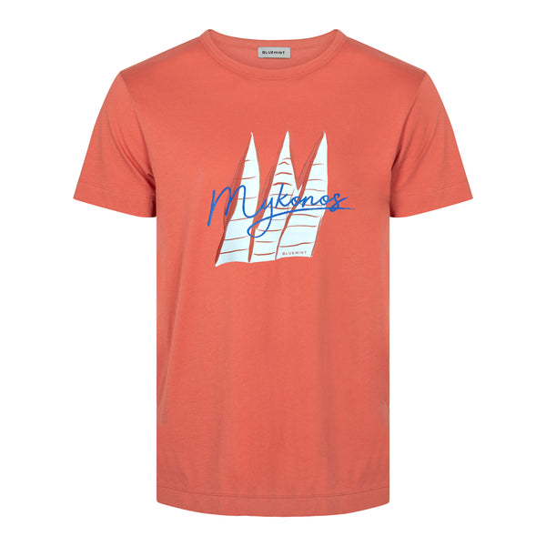 Bluemint ricci printed t-shirt