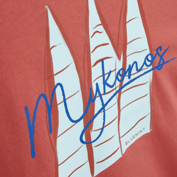 Bluemint ricci printed t-shirt