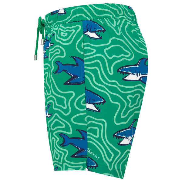 Bluemint arthus stretch swim shorts