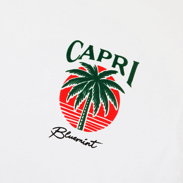 Bluemint nolan printed t-shirt