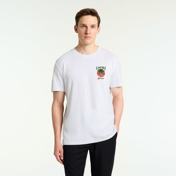 Bluemint nolan printed t-shirt