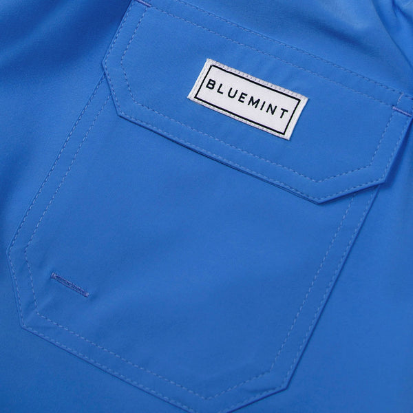 Bluemint arthus stretch solid swim shorts