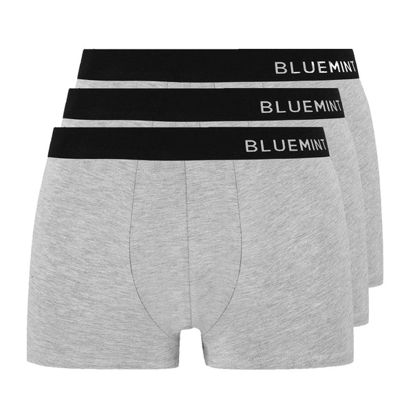 Bluemint tom 3 pack underwear