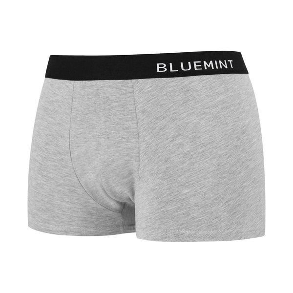 Bluemint tom 3 pack underwear