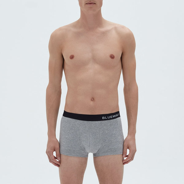 Bluemint tom 3 pack underwear