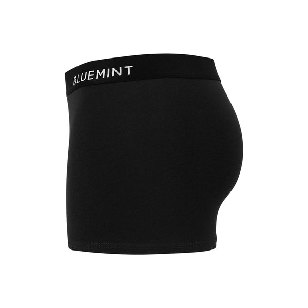 Bluemint tom 3 pack underwear