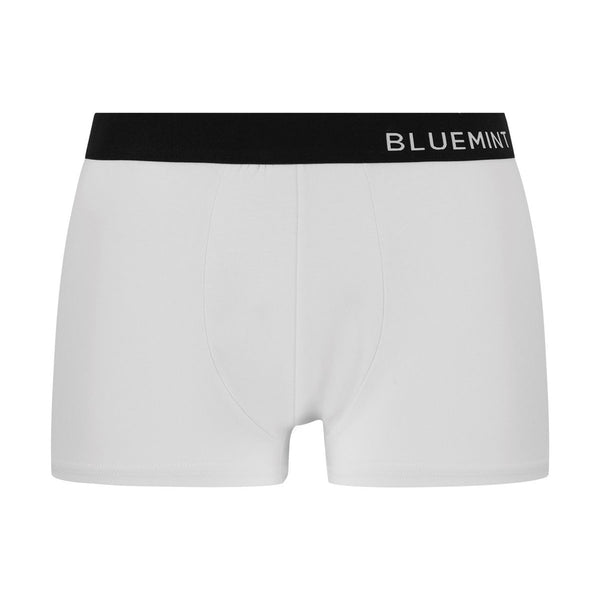 Bluemint tom 3 pack underwear
