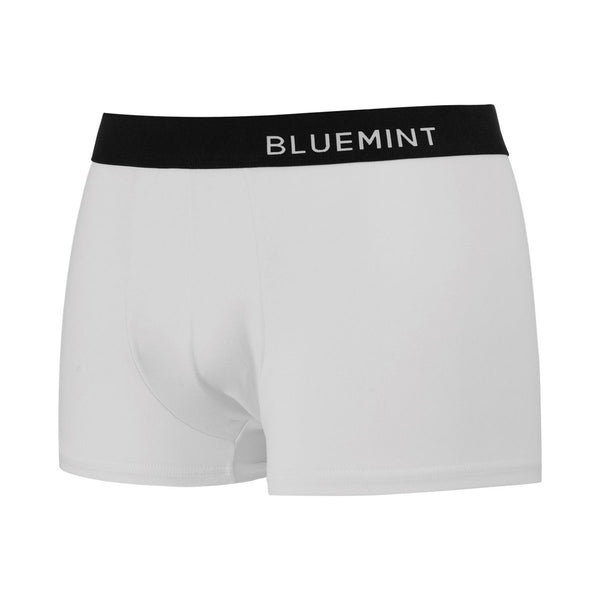 Bluemint tom 3 pack underwear