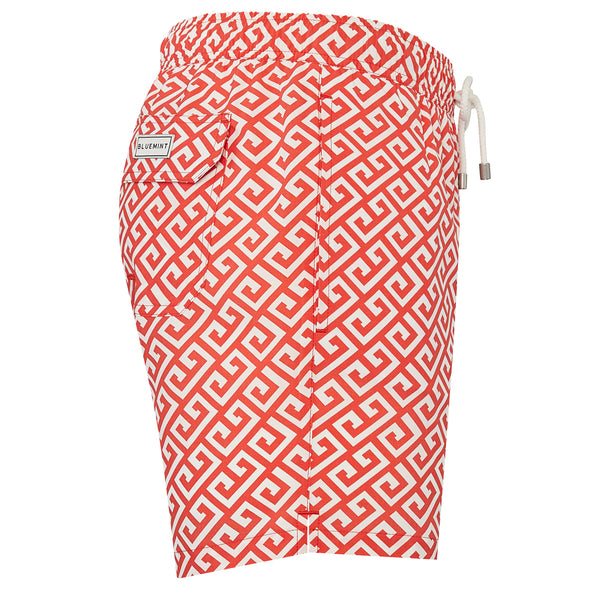 Bluemint arthus stretch swim shorts