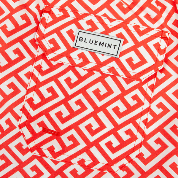 Bluemint arthus stretch swim shorts