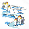 RICCI PRINTED KIDS