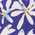 BLUE PLUMERIA