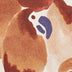 DESERT PARROT