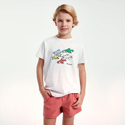 RICCI PRINTED KIDS COLOURFUL SHARK