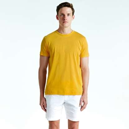 RICCI DANDELION